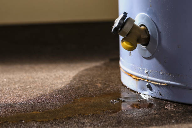 Best Fire Damage Restoration  in Doniphan, MO