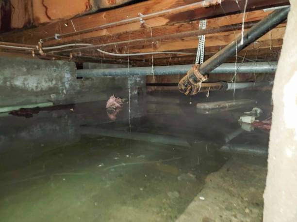 Best 24/7 water damage repair  in Doniphan, MO