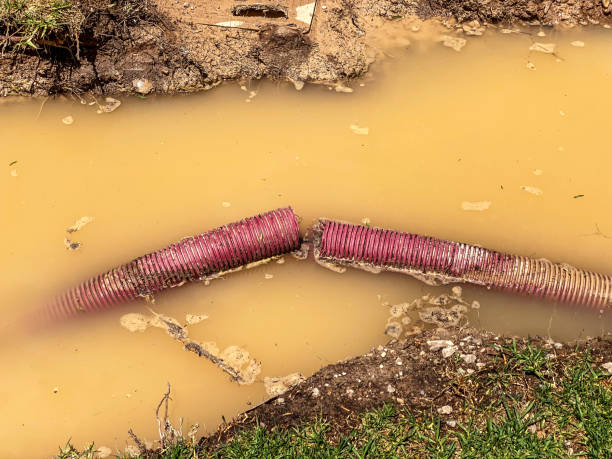 Professional Water damage restoration in Doniphan, MO