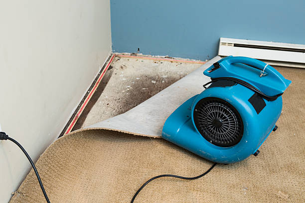 Best Carpet water damage restoration  in Doniphan, MO